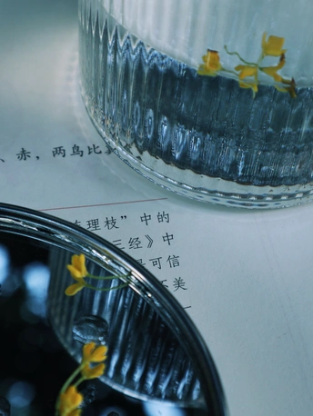 一杯水 旁边有一朵黄色的花。