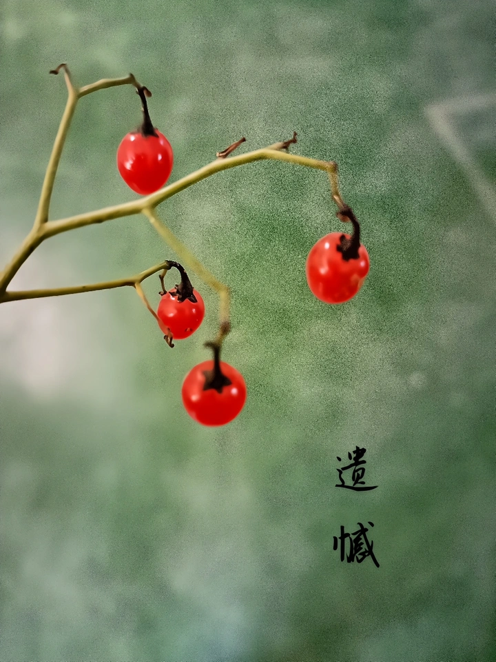 果实