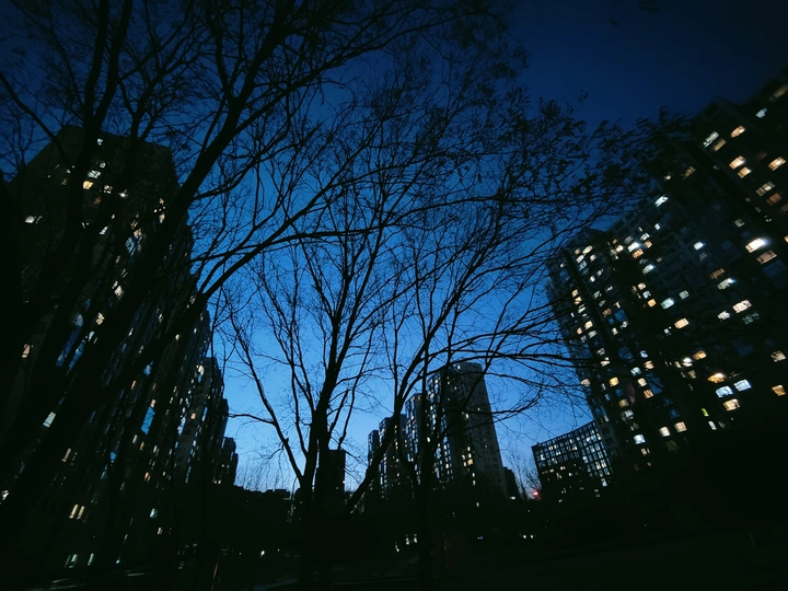 2022年11月的手机plog