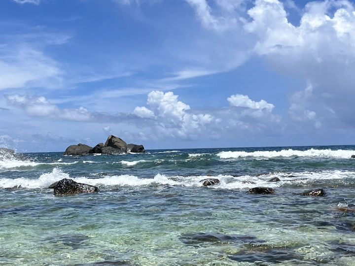 夏