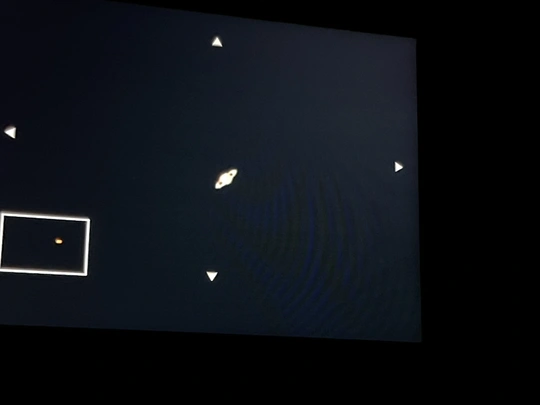 一个黑暗的房间里有一只鸟在天空中