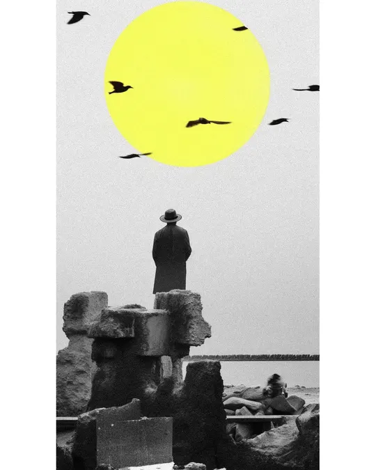 一张黑白照片 一个站在岩石上的人 面向大海 天空中飞翔着鸟儿。