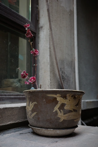 一个放在窗台上的花盆旁边有一个窗户 窗户里有一个花瓶 花瓶里插着一株植物。