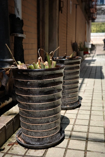 一些带有植物生长的花盆堆