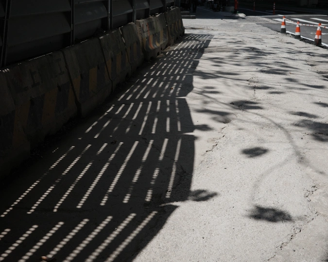 街道上的一棵树的漫长阴影