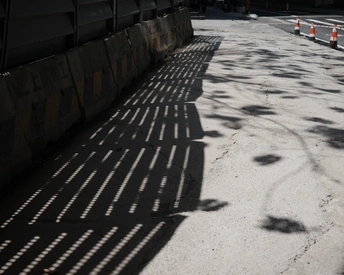 街道上的一棵树的漫长阴影