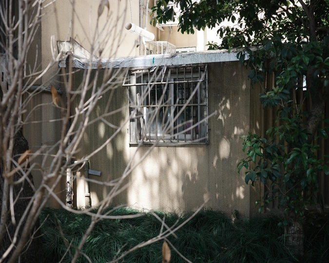 建筑物的窗户上有一只狗和一只猫 屋顶上有栅栏。