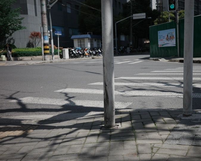 空荡的城市街道的角落 有绿灯和人行道上的一棵树。