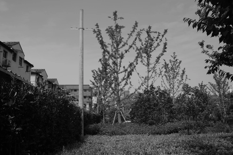 草地上的一根杆子上挂着一个标志