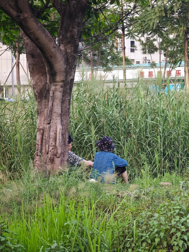 散装摄影