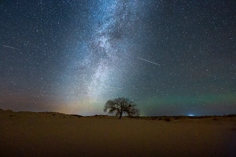 在沙漠中的夜晚 天空中繁星闪烁 一棵树在闪烁。