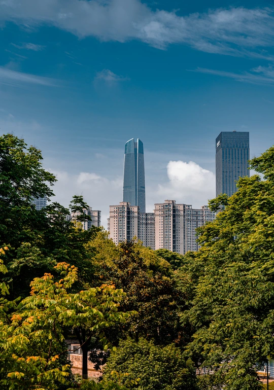 城市的天际线 背景是高耸的摩天大楼 前景是树木。
