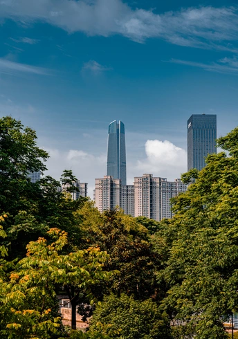 城市的天际线 背景是高耸的摩天大楼 前景是树木。