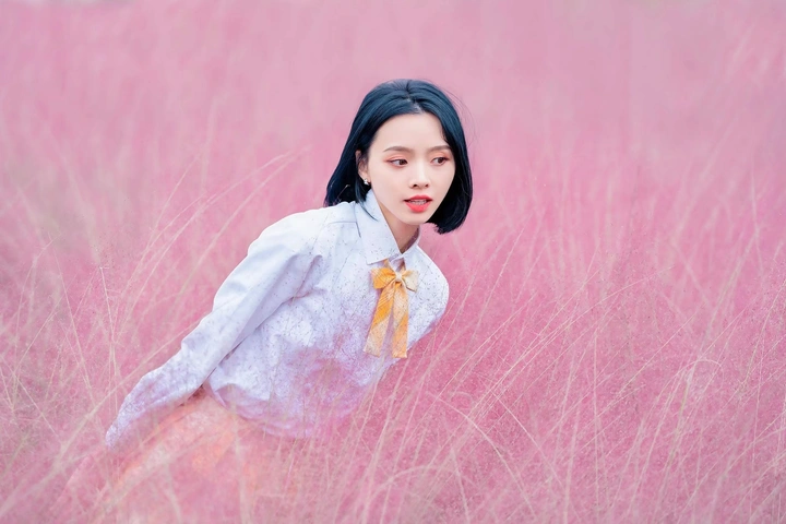 粉黛花海人像
