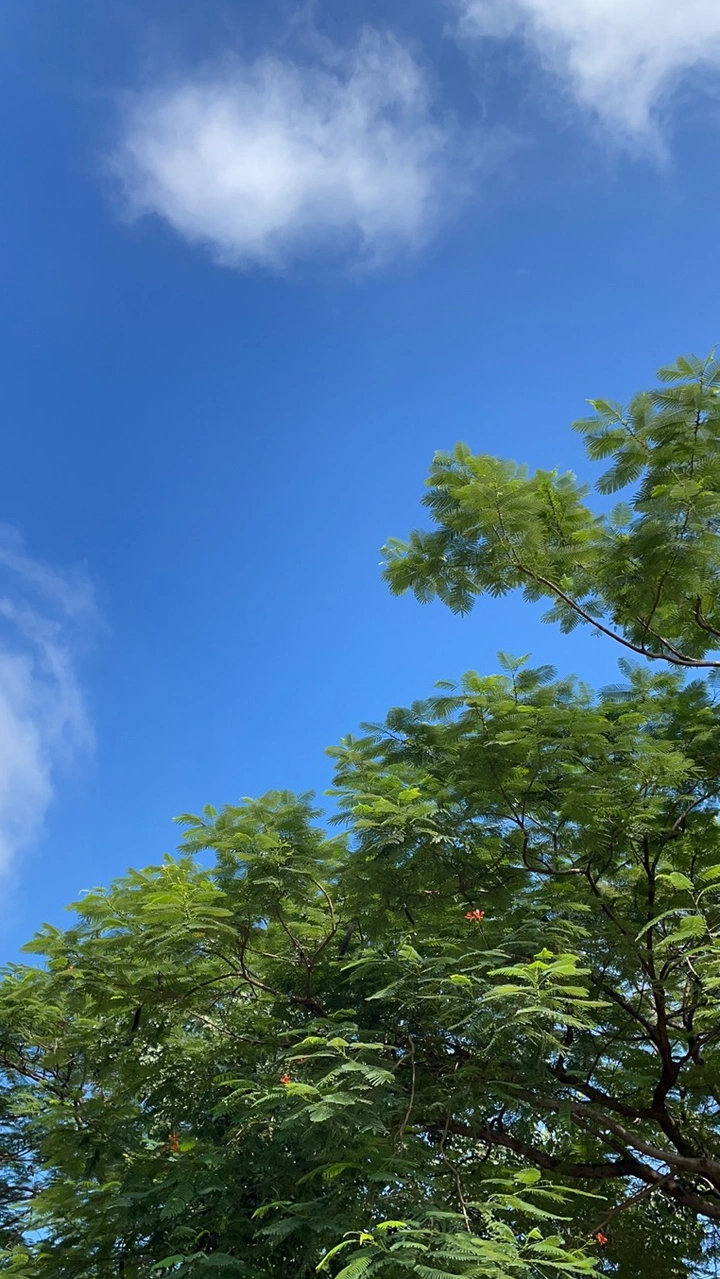 晴天