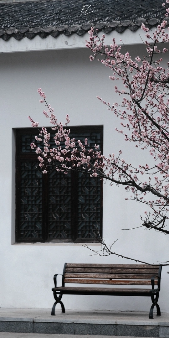 空荡荡的长椅坐在白色墙壁前 墙壁旁有一个带窗户和粉红色花朵的白色建筑。