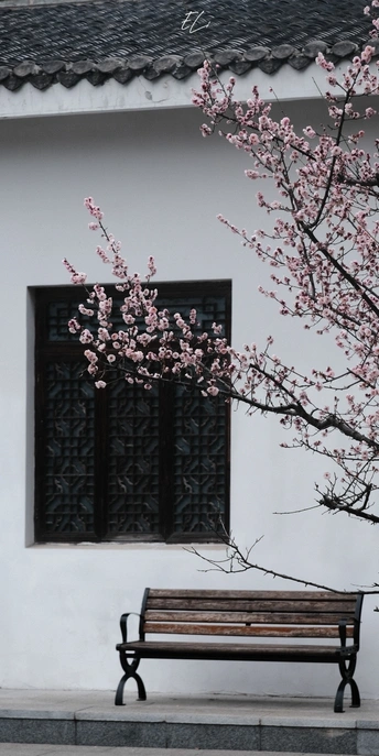 空荡荡的长椅坐在白色墙壁前 墙壁旁有一个带窗户和粉红色花朵的白色建筑。