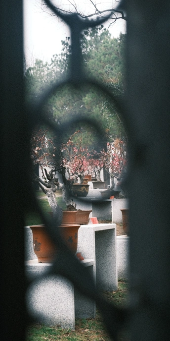 通过墓地的围栏看到有花盆、花瓶和树。
