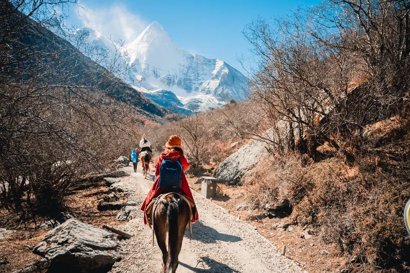 人们在山间小路上骑马