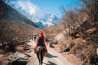 人们在山间小路上骑马