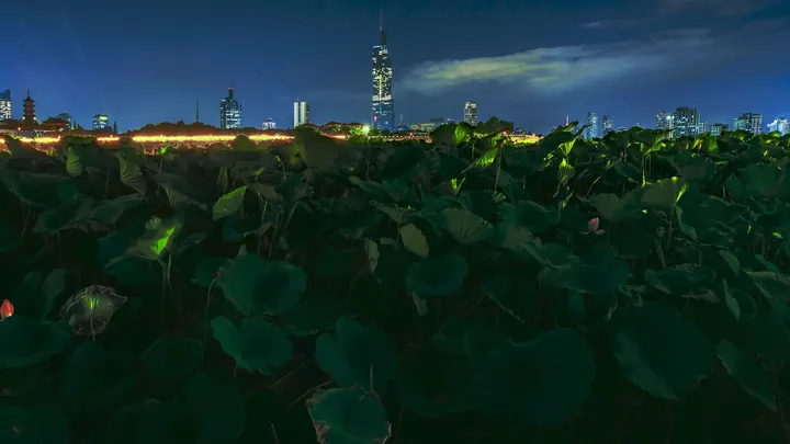 君临天下