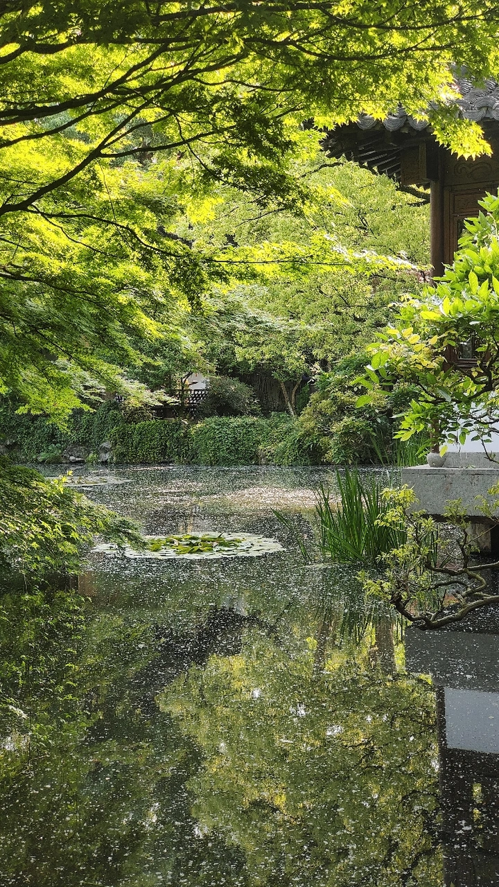 花??之艺术展