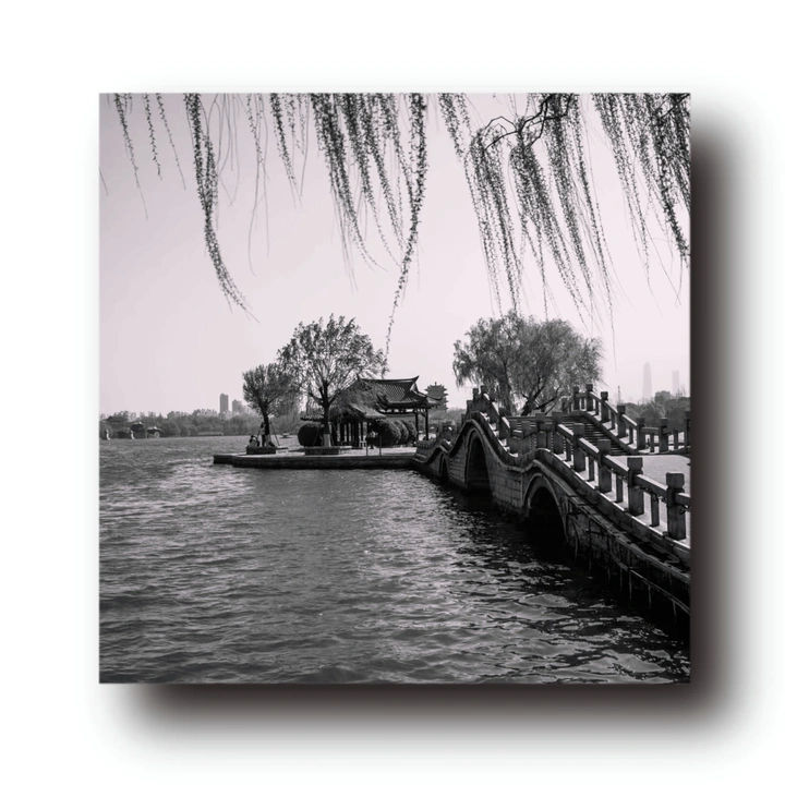 画框里的大明湖