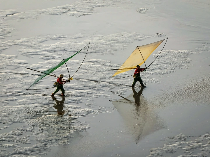 北岐晨韵，滩涂诗画