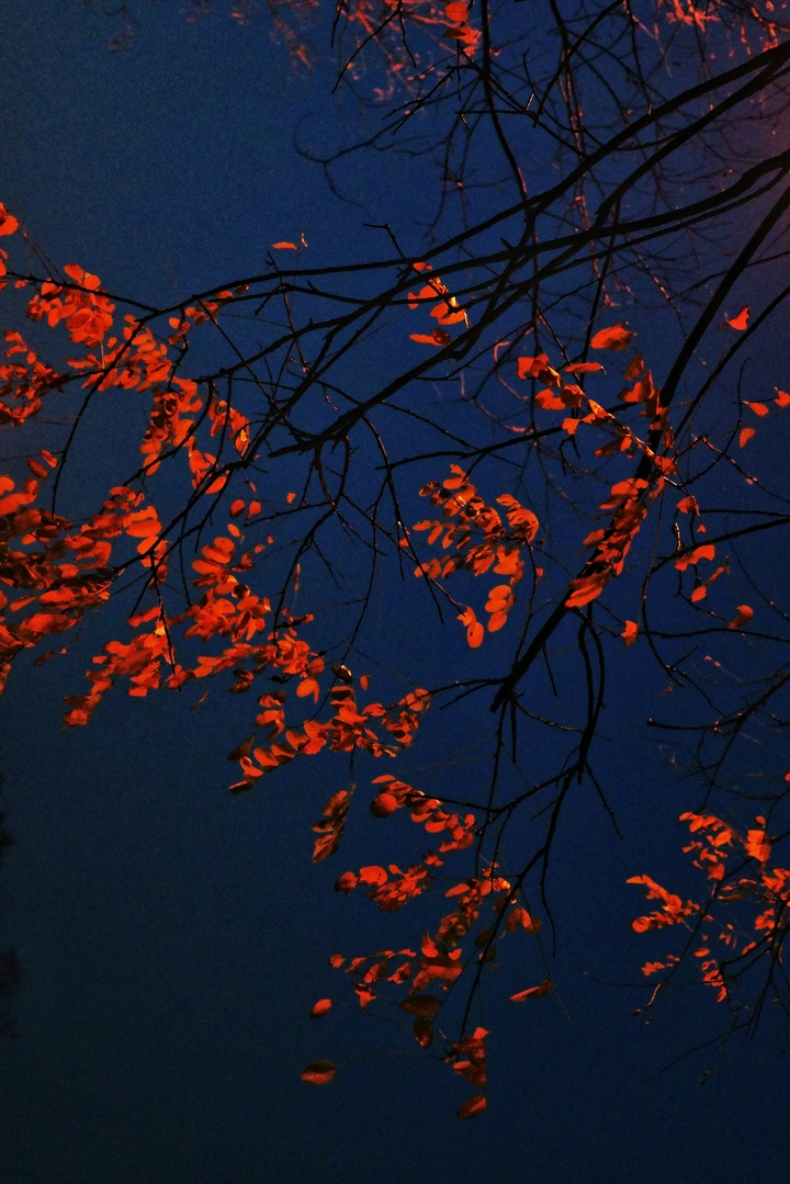 溅