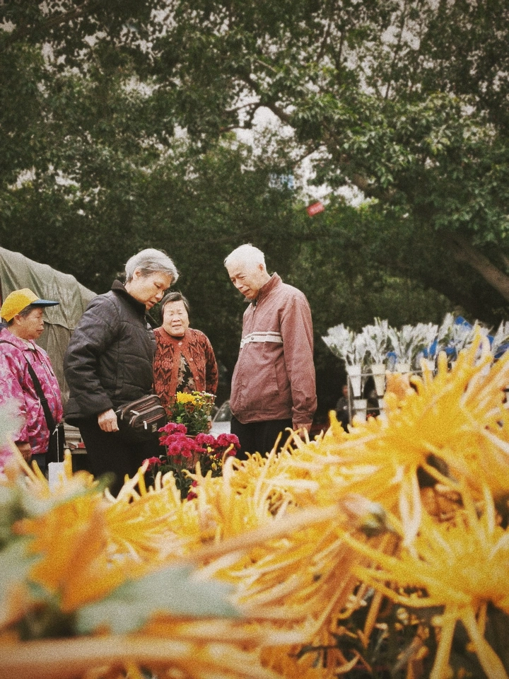 暖阳下迎芬芳…
