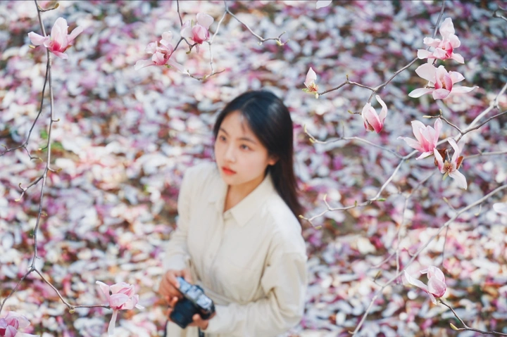 玉兰花上