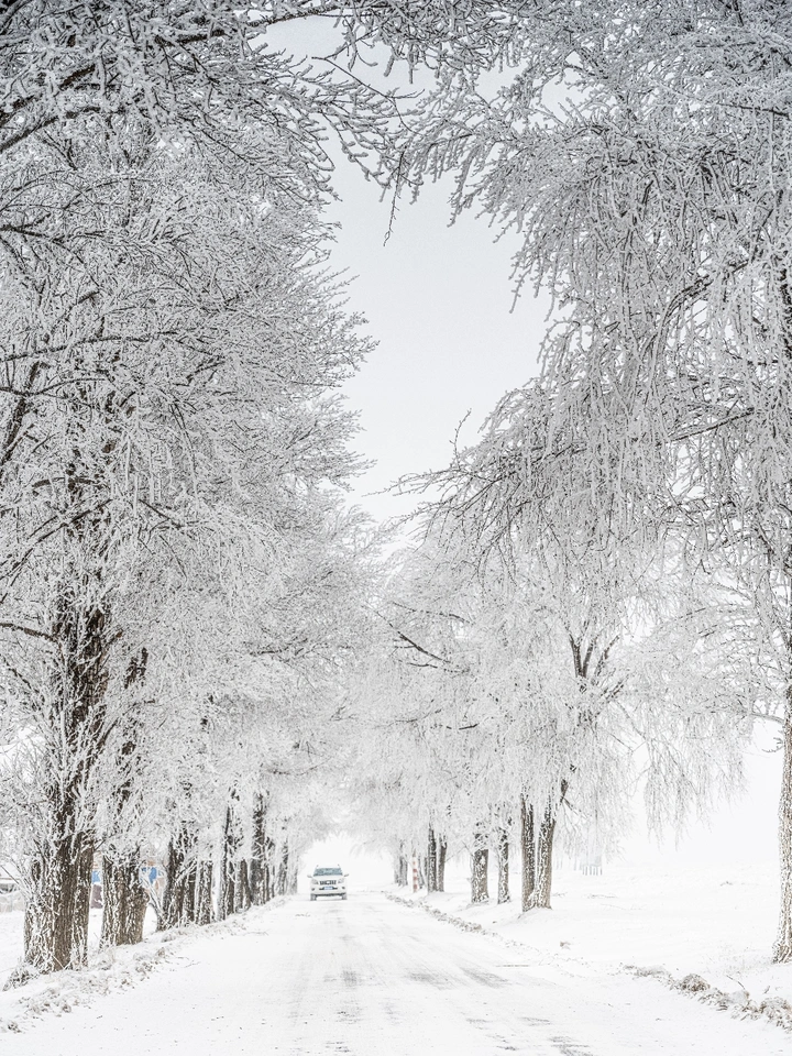 雪之路