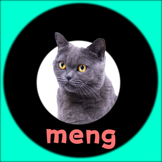 一只灰猫正在蓝色圆圈外观察