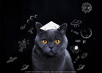 一只戴着毕业帽的黑猫 背景是黑色