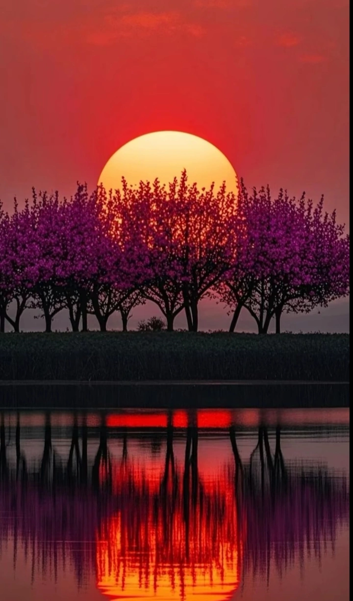 太阳壁纸