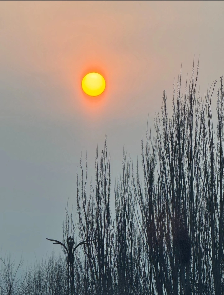 太阳风景