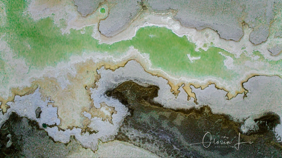 绿色和白色的画 绿色和绿色的颜色