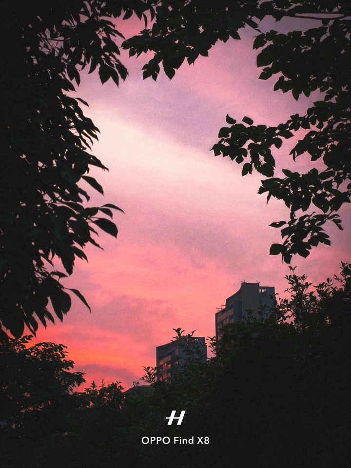入夜之前