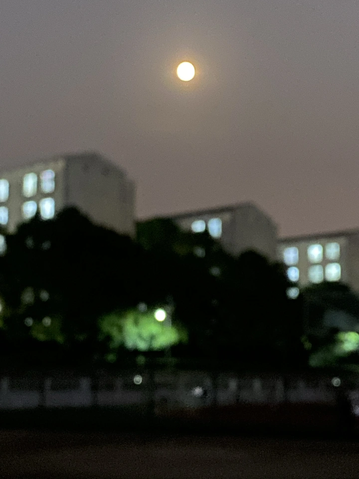 点击登录月球?