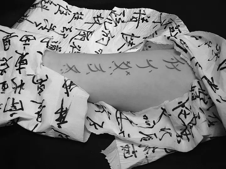 野火烧不尽 春风吹又生