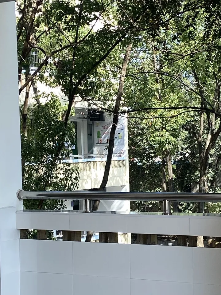 学校的一角