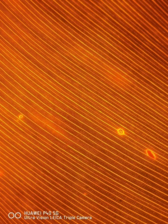 通过窗户玻璃透过的光线形成的图案