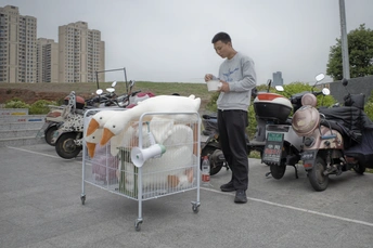 一个站在停车场的笼子旁边 旁边停着电动滑板车和摩托车 一个男人站在笼子旁边。