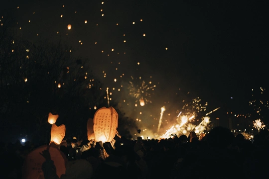 人群观看烟花点亮了夜空