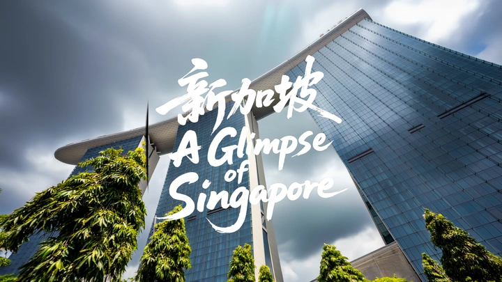 新加坡掠影 | A Glimpse of Singapore
