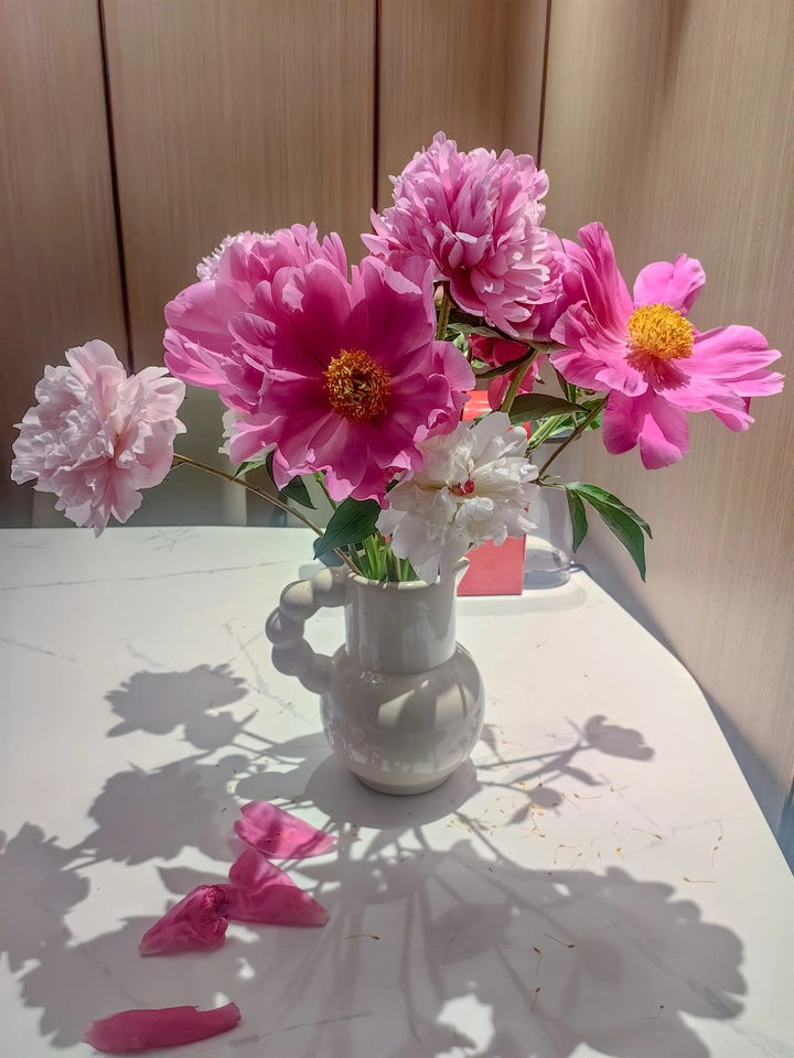 芍药