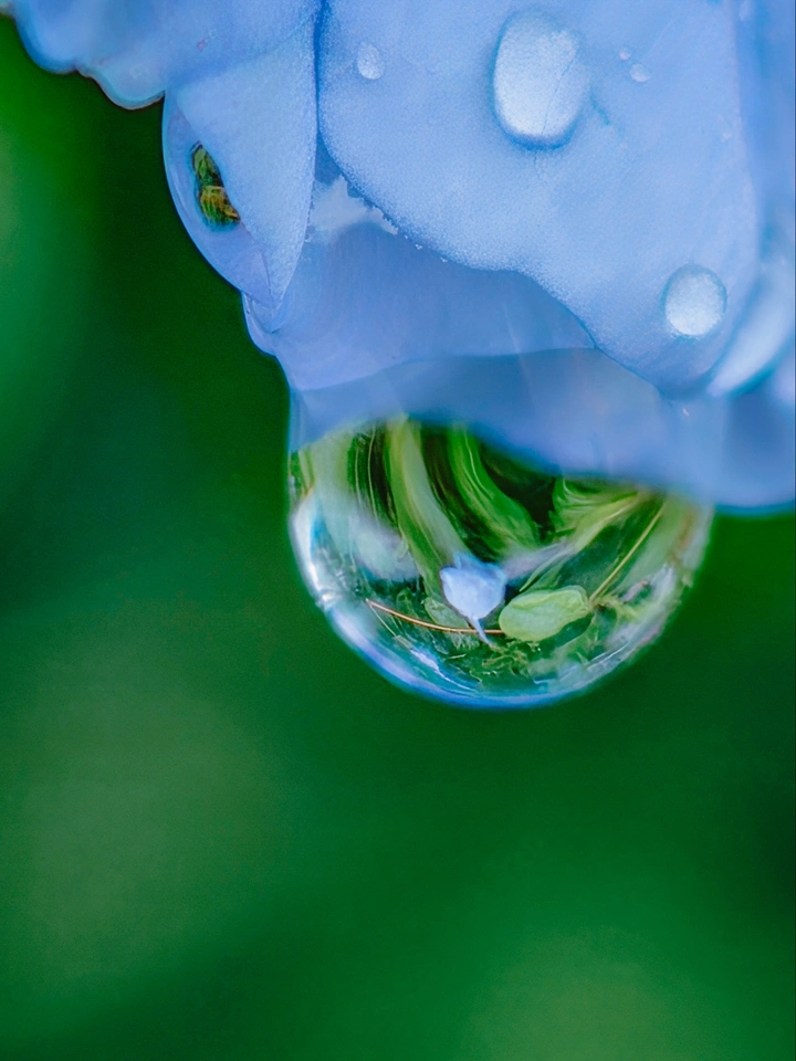 水滴里的世界