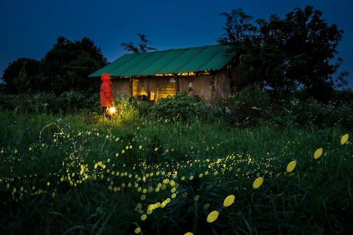 仲夏夜之梦