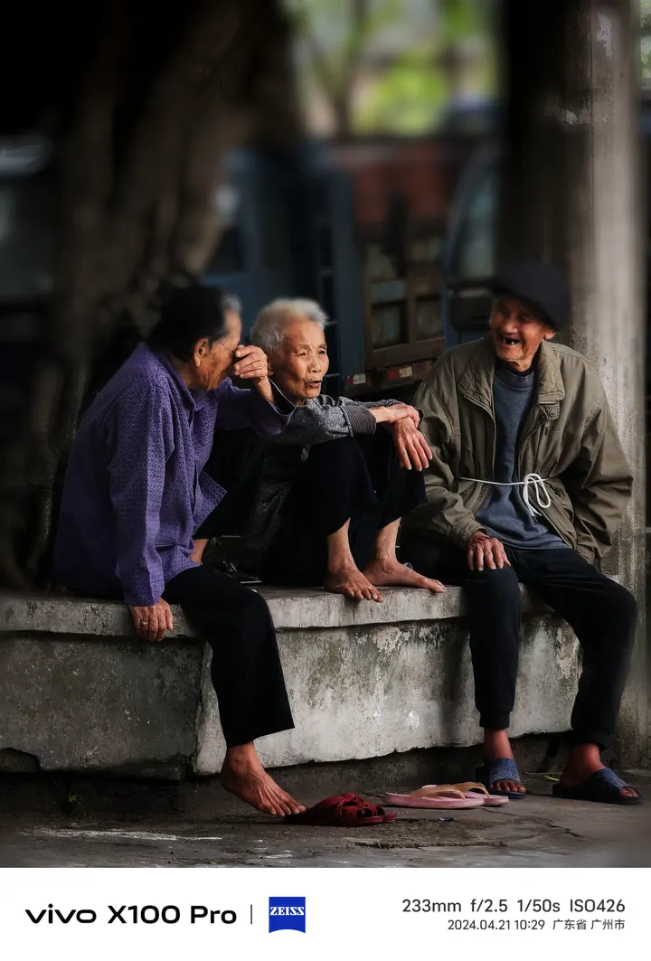 树下闲话