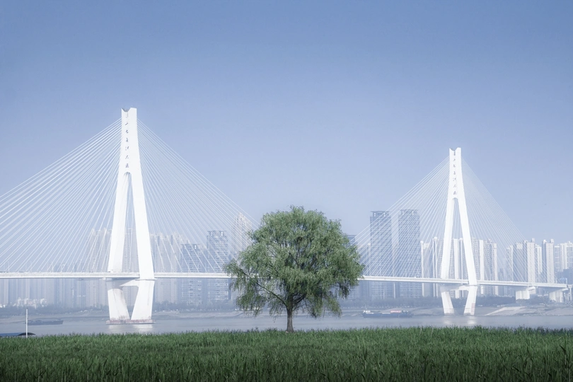 河上新建一座桥 前景有棵树 背景是一座城市。